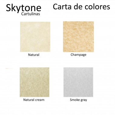 Papel Skytone 58 x 89 cm