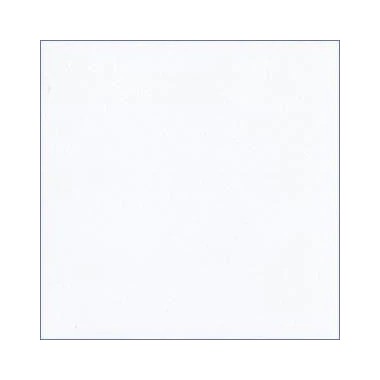 Cartulina Bazzill Liso Blanco 12x12 Pulg | 302247